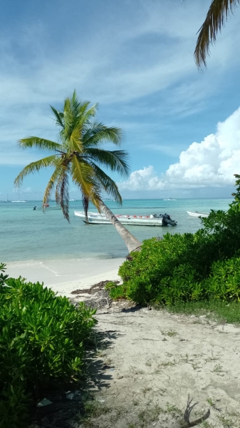 Excursión a Isla Saona