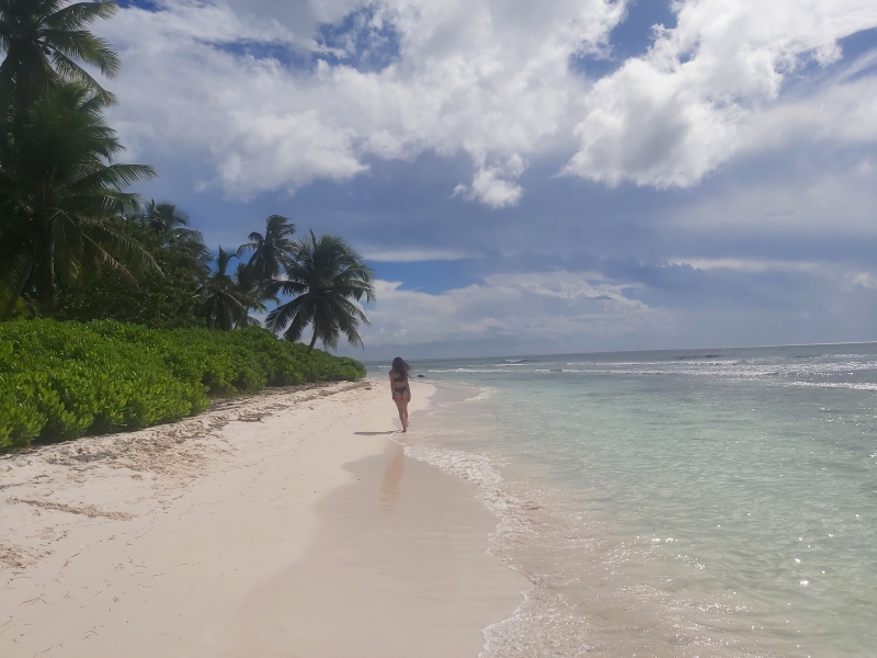 Saona Island Tour