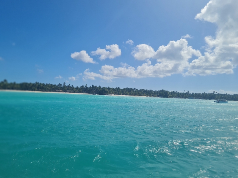 Excursión a Isla Saona