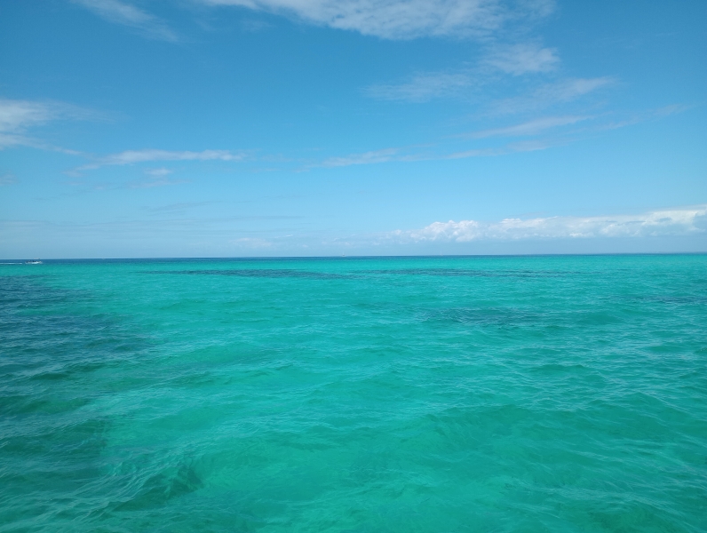 Excursión a Isla Saona