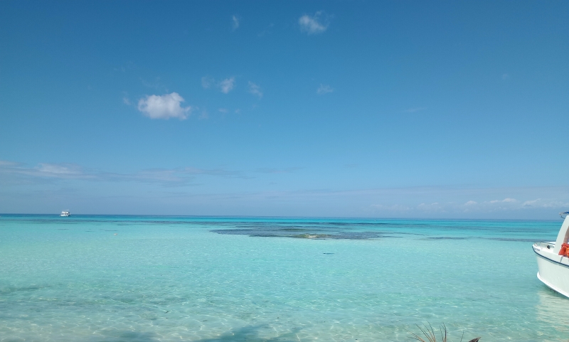 Excursão a Ilha Saona