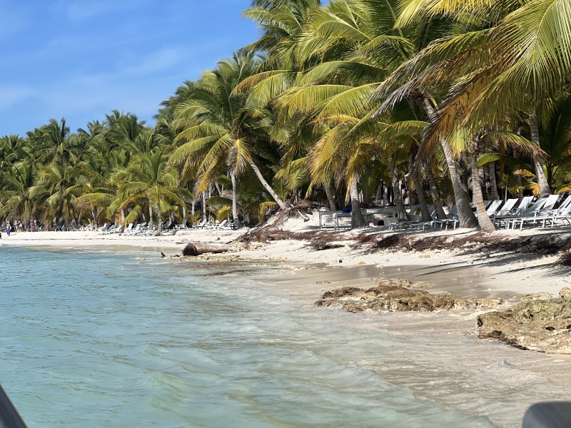 Excursión a Isla Saona