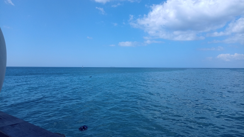 Excursão a Ilha Saona