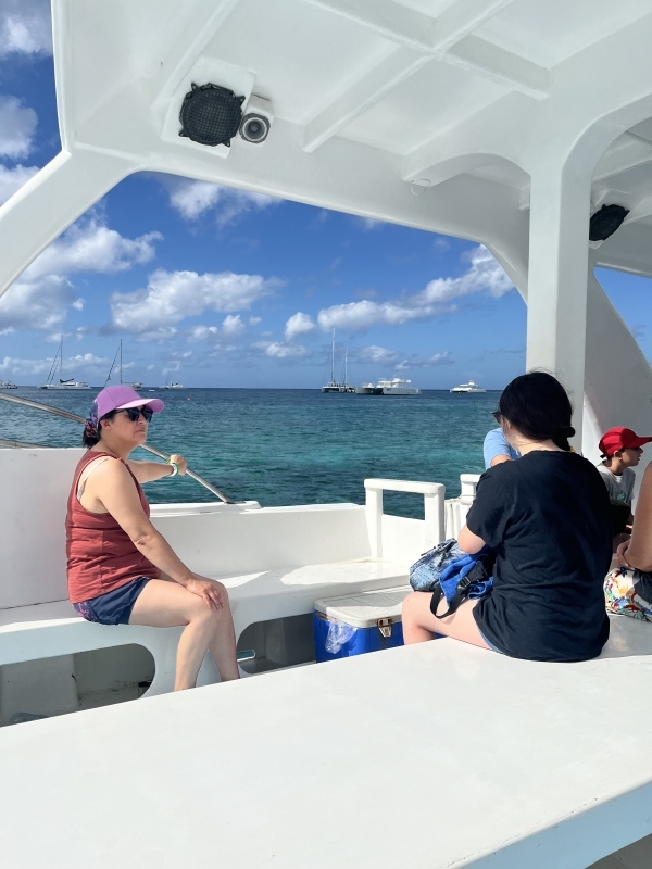 Excursión a Isla Saona