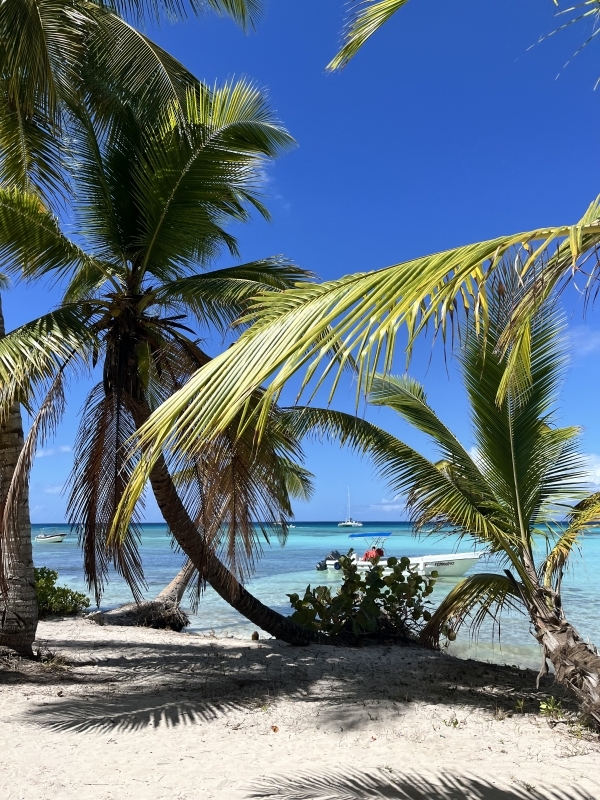 Excursión a Isla Saona