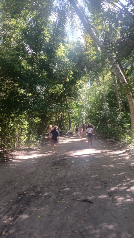 Excursión a Isla Saona